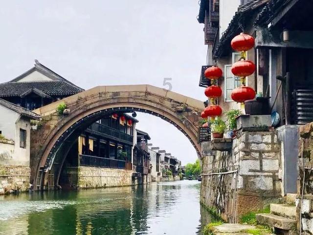 对要死了的狗狗一个尊重的解决方法游戏画面